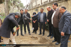 کاشت نهال در دانشگاه‌های هنر و تهران همزمان با روز درخت کاری