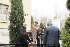 کاشت نهال در دانشگاه‌های هنر و تهران همزمان با روز درخت کاری