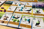 بازی های خلاقانه رویکردی نو در آموزش محیط زیست