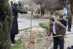 کاشت نهال به یاد «شهدای دانشجو» و «شهدای جهاددانشگاهی»