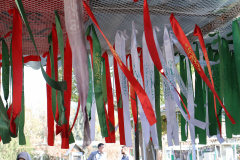 مراسم «زیارت مزار شهدای دانشجوی پیرو خط امام(ره) و شهدای جنگ 12 روزه»